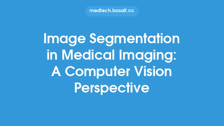 Image Segmentation in Medical Imaging: A Computer Vision Perspective Thumbnail